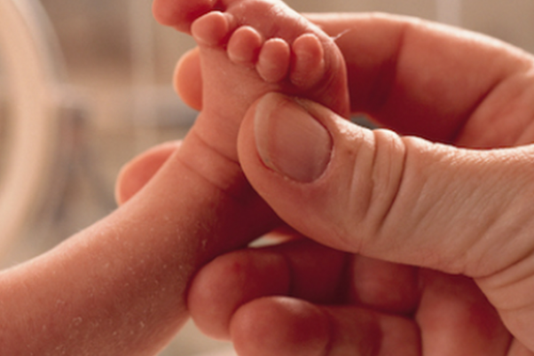 不排卵促排后卵子好做试管能成功