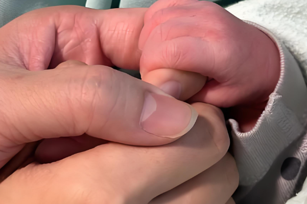 国内做试管不允许选性别