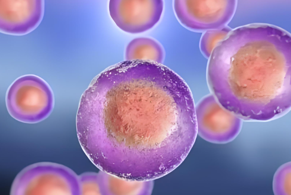 卵子质量差会耽误受精