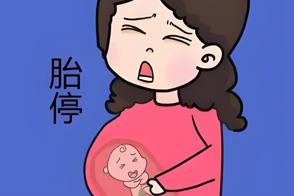 年龄大做试管发生胎停几率大