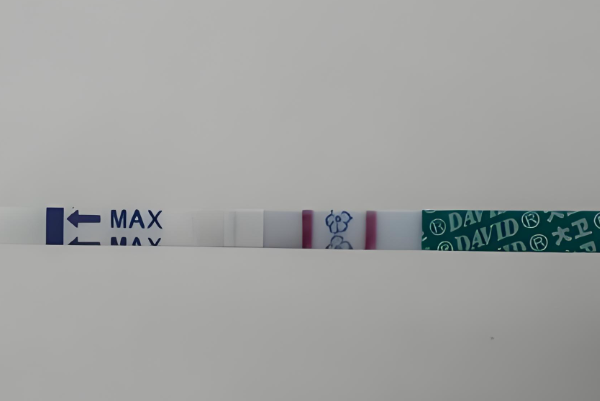 激素水平上升快试纸颜色就深