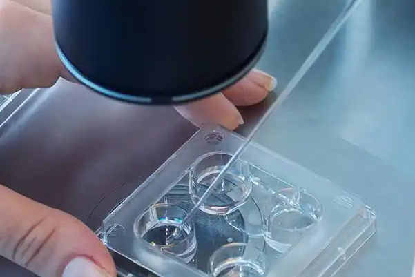 胚胎质量会影响养囊成功率