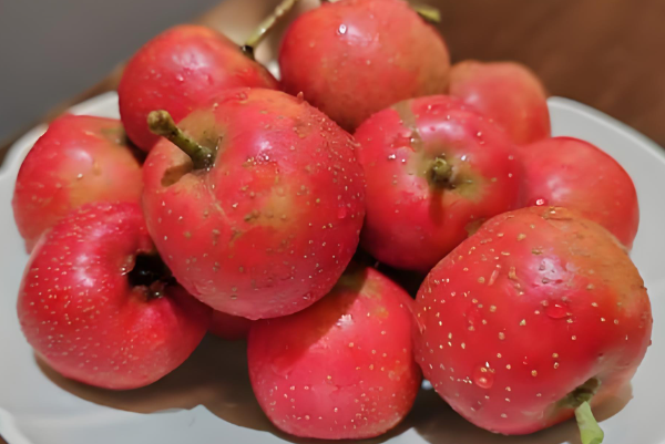 胚胎移植后尽量别吃山楂