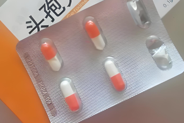 吃完头孢24小时可移植胚胎