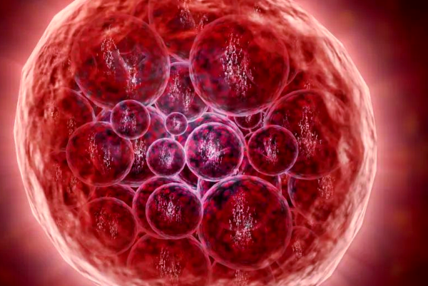 四月份做试管移植成功率高