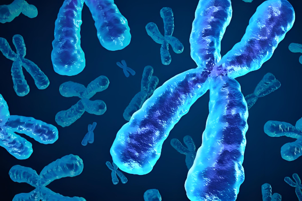 做三代试管才能筛选胎儿性别