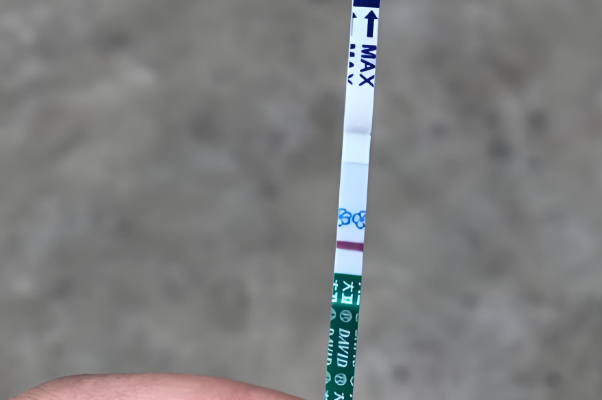 鲜胚移植后不要每天测孕