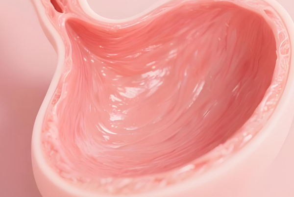 吉利芬可修復(fù)內(nèi)膜損傷