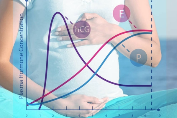 女性年龄会影响试管成功率