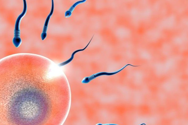 精卵结合是在培养皿中完成